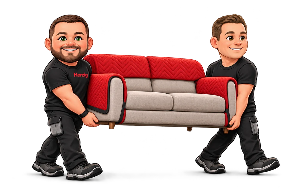 Herzig-Maskottchen und ein Kollege tragen gemeinsam ein Sofa mit roten Schutzdecken – Illustration zum sorgfältigen Möbeltransport.