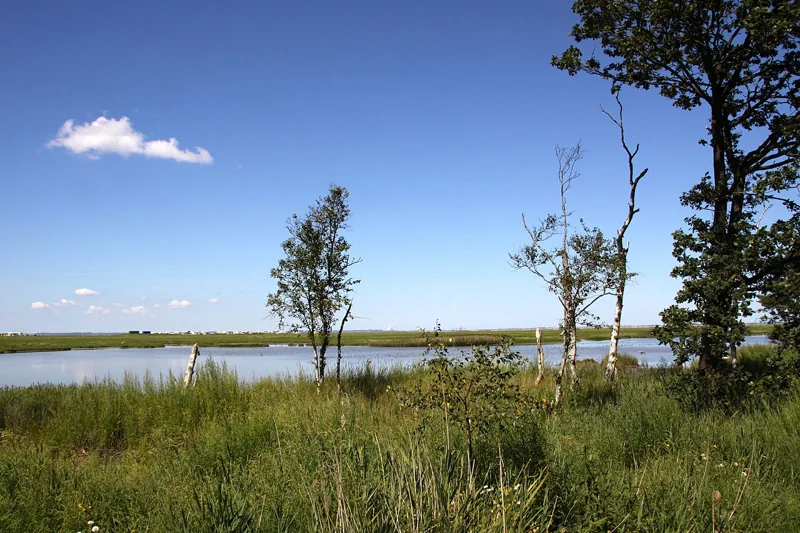 Schwimmendes Moor · Sehestedt, Gemeinde Jade – Ortsfoto für die Umzugsseite von Herzig Dienstleistungen